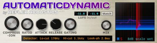 AutomaticDynamic